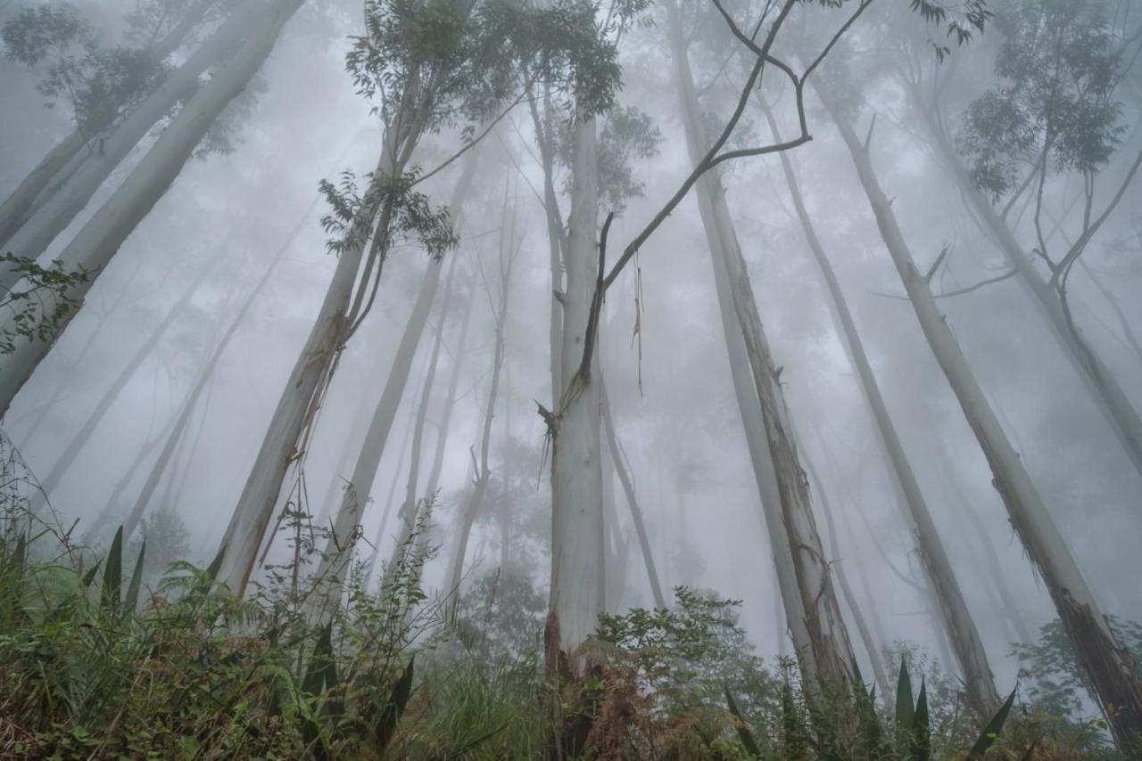 Saffronstays Kurinji Estate Kodaikanal Exteriér fotografie
